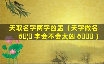 天取名字两字凶孟（天字做名 🦆 字会不会太凶 🐈 ）